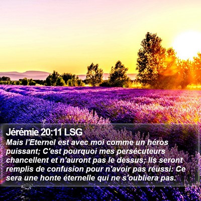 Jérémie 20:11 LSG Bible Verse Image