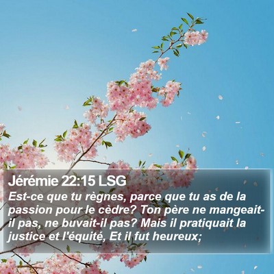 Jérémie 22:15 LSG Bible Verse Image