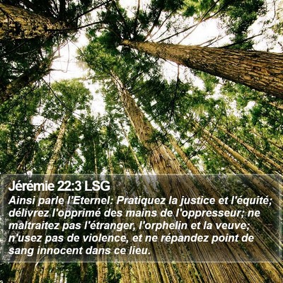 Jérémie 22:3 LSG Bible Verse Image