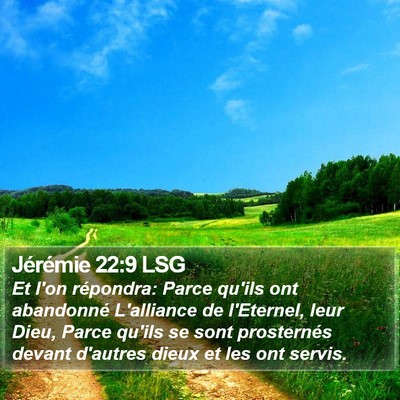 Jérémie 22:9 LSG Bible Verse Image