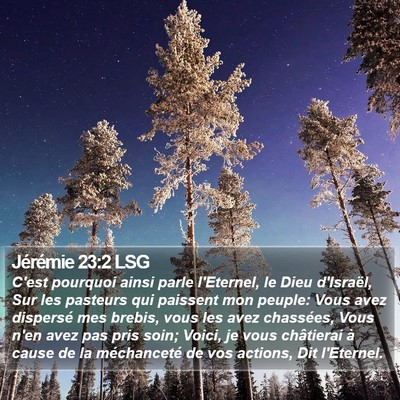 Jérémie 23:2 LSG Bible Verse Image