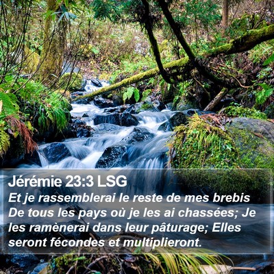 Jérémie 23:3 LSG Bible Verse Image