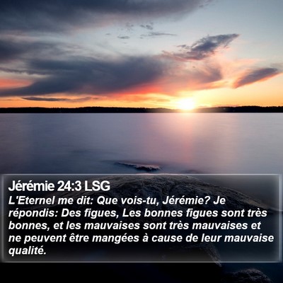 Jérémie 24:3 LSG Bible Verse Image