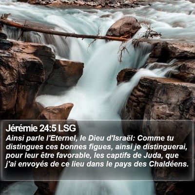 Jérémie 24:5 LSG Bible Verse Image