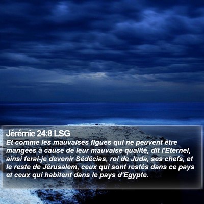 Jérémie 24:8 LSG Bible Verse Image
