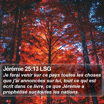 Jérémie 25:13 LSG Bible Verse Image
