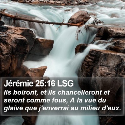 Jérémie 25:16 LSG Bible Verse Image