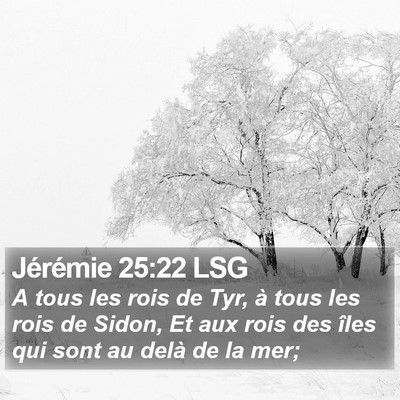 Jérémie 25:22 LSG Bible Verse Image