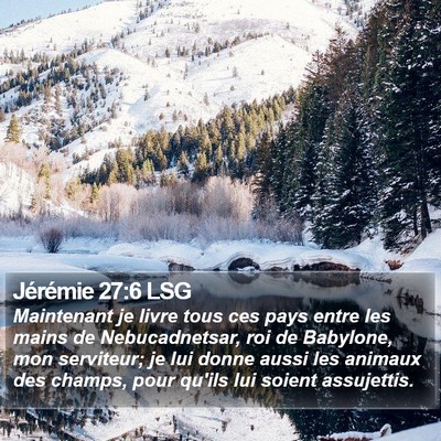 Jérémie 27:6 LSG Bible Verse Image