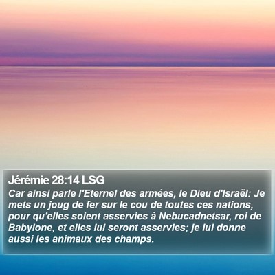 Jérémie 28:14 LSG Bible Verse Image