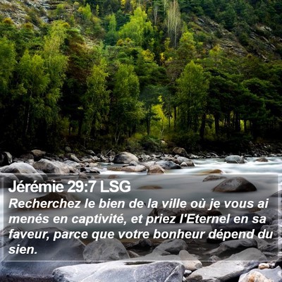 Jérémie 29:7 LSG Bible Verse Image