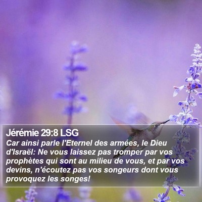 Jérémie 29:8 LSG Bible Verse Image