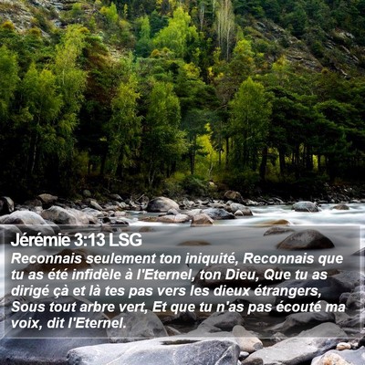 Jérémie 3:13 LSG Bible Verse Image