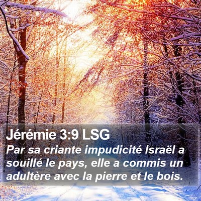 Jérémie 3:9 LSG Bible Verse Image