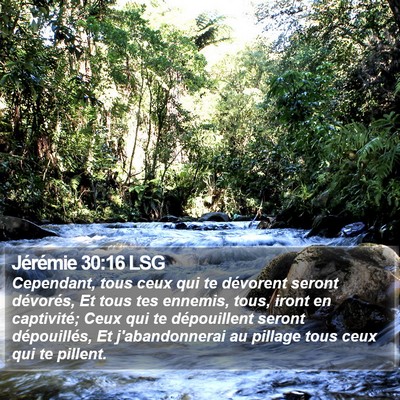 Jérémie 30:16 LSG Bible Verse Image