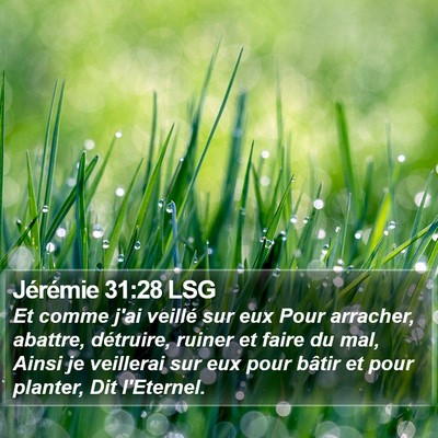 Jérémie 31:28 LSG Bible Verse Image