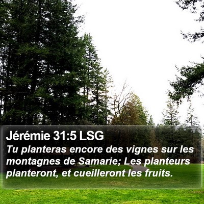 Jérémie 31:5 LSG Bible Verse Image