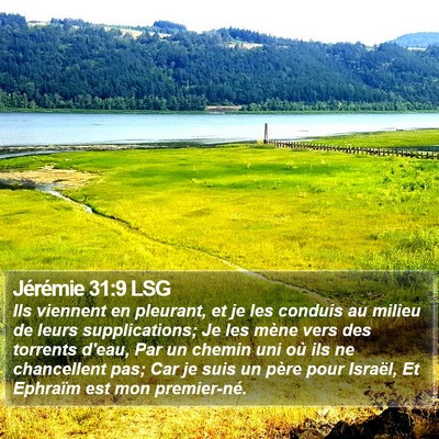 Jérémie 31:9 LSG Bible Verse Image