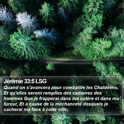 Jérémie 33:5 LSG Bible Verse Image