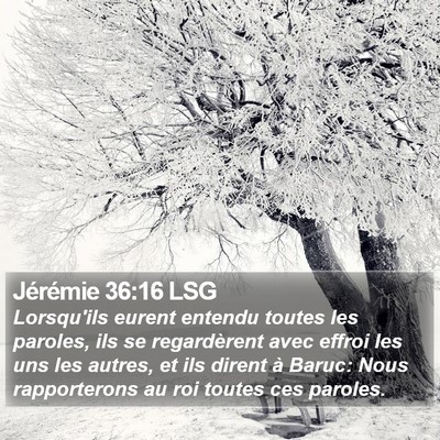 Jérémie 36:16 LSG Bible Verse Image