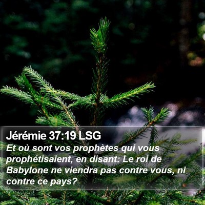 Jérémie 37:19 LSG Bible Verse Image
