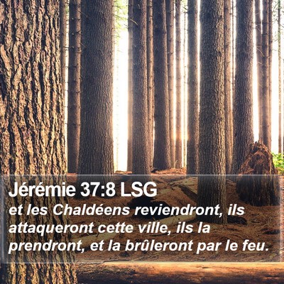 Jérémie 37:8 LSG Bible Verse Image