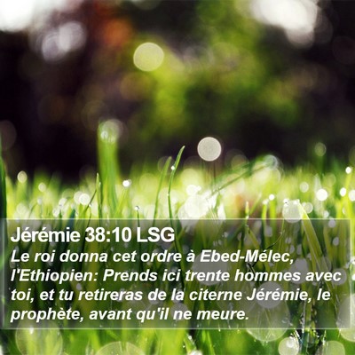 Jérémie 38:10 LSG Bible Verse Image
