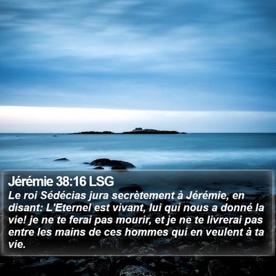 Jérémie 38:16 LSG Bible Verse Image