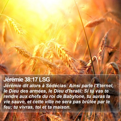 Jérémie 38:17 LSG Bible Verse Image