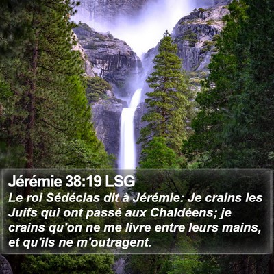 Jérémie 38:19 LSG Bible Verse Image