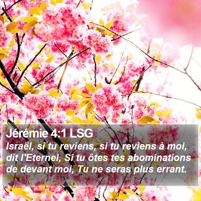 Jérémie 4:1 LSG Bible Verse Image