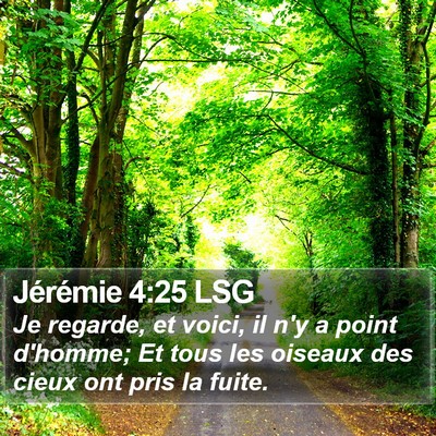 Jérémie 4:25 LSG Bible Verse Image