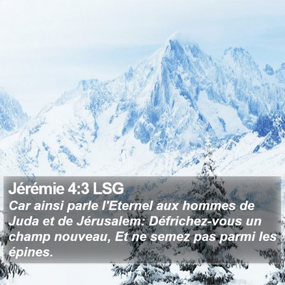 Jérémie 4:3 LSG Bible Verse Image