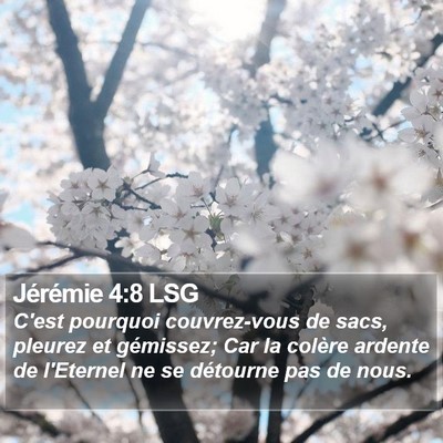 Jérémie 4:8 LSG Bible Verse Image
