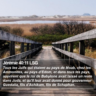 Jérémie 40:11 LSG Bible Verse Image