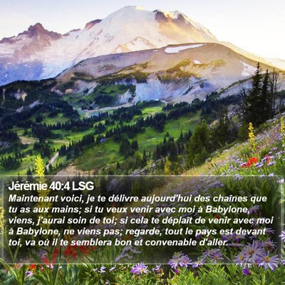 Jérémie 40:4 LSG Bible Verse Image