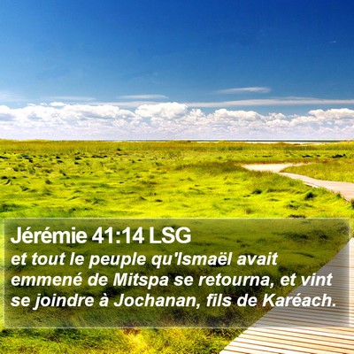 Jérémie 41:14 LSG Bible Verse Image