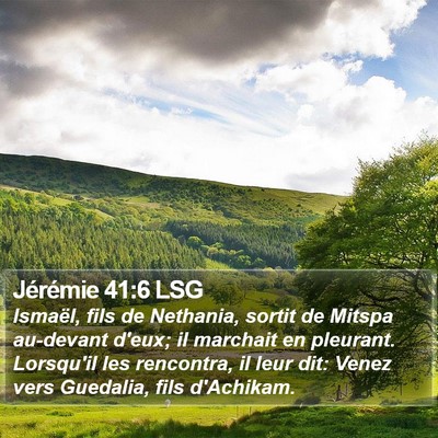 Jérémie 41:6 LSG Bible Verse Image