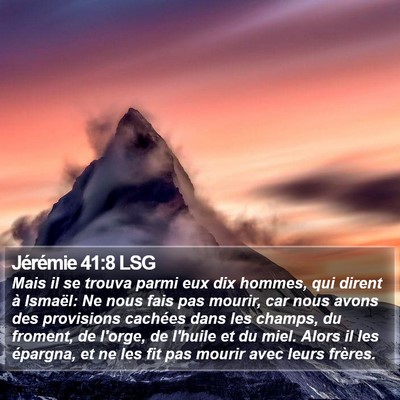 Jérémie 41:8 LSG Bible Verse Image