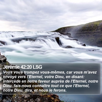 Jérémie 42:20 LSG Bible Verse Image