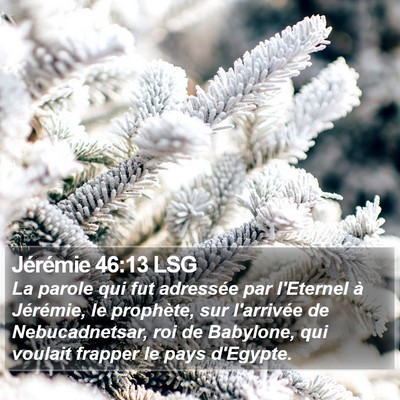 Jérémie 46:13 LSG Bible Verse Image