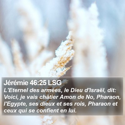Jérémie 46:25 LSG Bible Verse Image