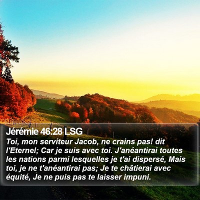 Jérémie 46:28 LSG Bible Verse Image