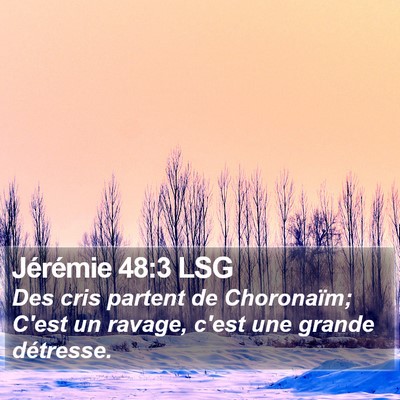 Jérémie 48:3 LSG Bible Verse Image