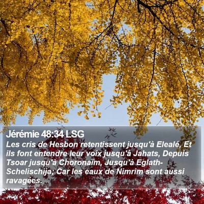 Jérémie 48:34 LSG Bible Verse Image