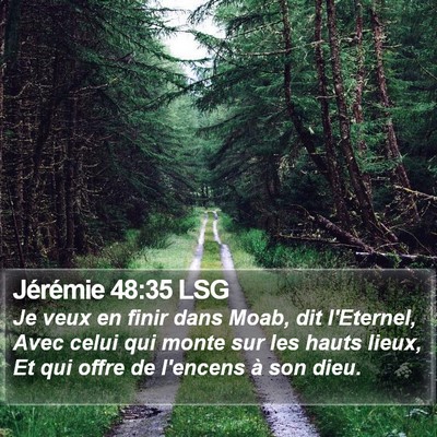 Jérémie 48:35 LSG Bible Verse Image