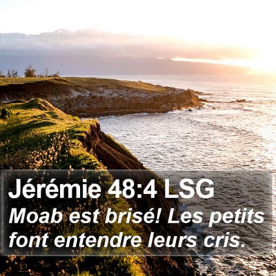 Jérémie 48:4 LSG Bible Verse Image