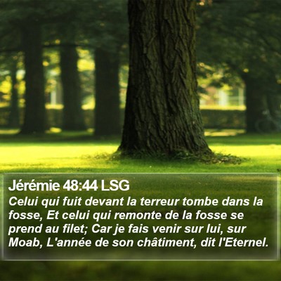 Jérémie 48:44 LSG Bible Verse Image
