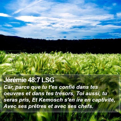Jérémie 48:7 LSG Bible Verse Image