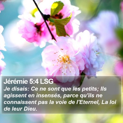 Jérémie 5:4 LSG Bible Verse Image